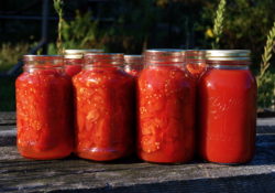 OSU Extension offers Youth Canning Workshops