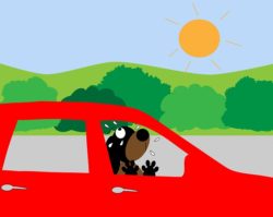 Six Red Cross Tips to Stay Safe When Temperatures Soar