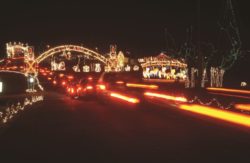 Celebrating the 20th Annual Holiday Lights Spectacular